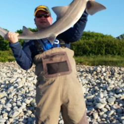 Mark Bryce with a shore caught Starry Smoothound - 12lb (4th June 2015)