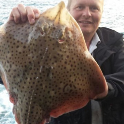 Scott Clark with a shore caught Spotted Ray - 6lb 11oz 8dr (2nd July 2015)