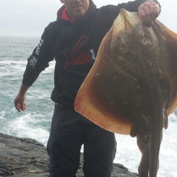 Rob Yorke with a shore caught Blonde Ray - 19lb 6oz (15th July 2015)