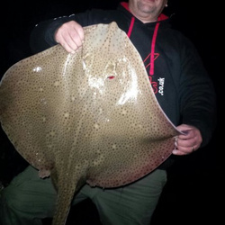 Mark Bryce with a shore caught Blonde Ray - 15lb 10oz (2nd October 2015)