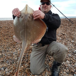 Mark Bryce with a shore caught Small Eyed Ray - 9lb 4oz (12th April 2016)