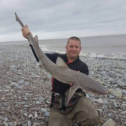 Mark Bryce with a shore caught Starry Smoothound - 10lb 15ox (3rd August 2016)