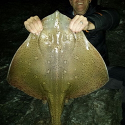 Steve Arnold with a shore caught Blonde Ray - 19lb 11oz (9th August 2016)