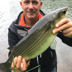 Rob Wheaton with a Mullet, Thick Lip of 5lb 7oz