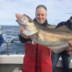 Tony Swain with a wreck caught Pollock - 14lb 0oz (19/02/2017)