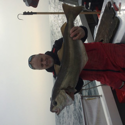 Tony Swain with a wreck caught Pollock - 17lb 1oz (11/03/2017)