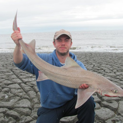 Steve King with a shore caught Starry Smoothound - 11lb 14oz (17th July 2016)