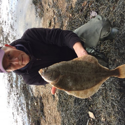 Mike hodge with a shore caught Flounder - 2lb.8oz (25/01/2017)
