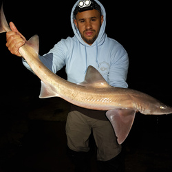 Lloyd Carty with a Smoothhound, Starry of 9lb 8oz