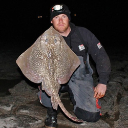 Andy Webb with a Ray, Thornback of 8lb 10oz