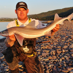 Andy Webb with a Smoothhound, Starry of 8lb 4oz