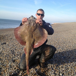 Carl Mccormack with a shore caught Undulate ray - 12lb 1 (13th January 2013)