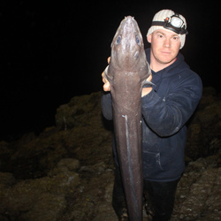 Andy Webb with a Conger Eel of 23lb 0oz