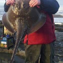 Mark Bryce with a shore caught Thornback Ray - 14lb 3oz (17/01/2014)