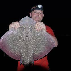 Gary Mitchell with a shore caught Thornback Ray - 10lb 12oz (23rd April 2015)