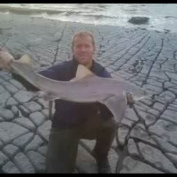 Steve Arnold with a shore caught Starry Smoothhound - 13lb 2oz (19th July 2014)