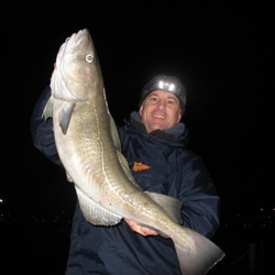 Steve Fedrick with a shore caught Cod - 15lb 8 (November 2012)