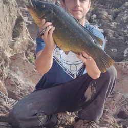 Steve King with a shore caught Wrasse - 5lb 5oz (7th September 2014)