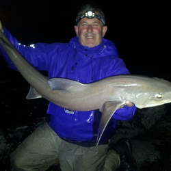 Stewart Gray with a shore caught Starry Smoothhound - 13lb 10oz (12th July 2014)
