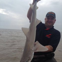 Mark Bryce with a shore caught Smoothound - 11lb 10oz (11th June 2016)
