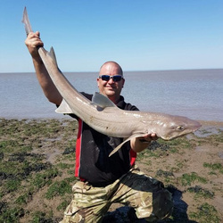 Mark Bryce with a shore caught Starry Smoothound - 16lb 8oz 8dr (19th July 2016)