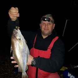 Mark Bryce with a shore caught Pouting - 2lb 5oz 8dr (17th December 2016)