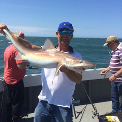 Steve Nicholson with a Smoothhound, Starry of 11lb 15oz