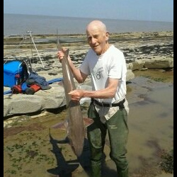 Mike hodge with a shore caught Smoothound - 14lb 12 (6th July 2013)