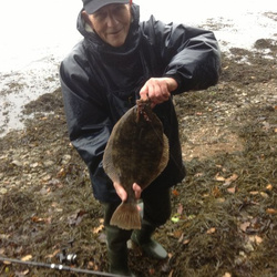 Mike hodge with a shore caught Flounder - 2 15.8 (15/1/2013)