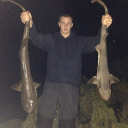 Carl McCormack with a shore caught Bull Huss - 13lb 2oz 12dr (20.12.13)