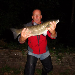 Rob Wheaton with a shore caught Thick lipped mullet - 6lb (22/09 2014)