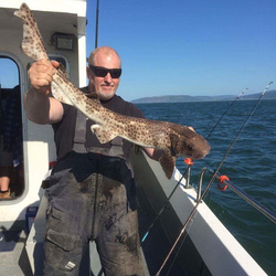 Tony Swain with a Bull Huss of 9lb 8oz