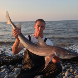 Carl McCormack with a shore caught Smoothhound, starry - 12lb 10oz 8dr (8th July 2013)