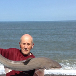 Mike hodge with a shore caught Smoothhound - 15lb 12oz (09/07/2015)