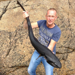 Rob wheaton with a shore caught Bull huss - 14lb 8oz (16/08/2014)