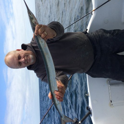 Tony Swain with a open ground caught Garfish - 1lb 12oz (28/09/2015)