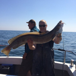 Tony Swain with a wreck caught Ling - 22lb 8oz (06/09/2015)