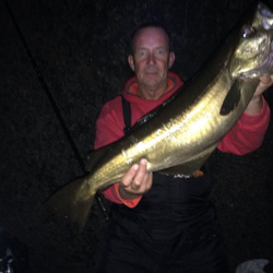 Rob wheaton with a shore caught Pollack - 10lb 6oz (17/10/2015)