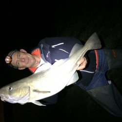 Rob wheaton with a shore caught COD - 9lb (17/12/2015)