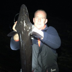 Rob Wheaton with a shore caught Conger eel - 29lb.4oz (27/02/2016)