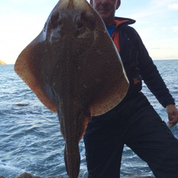 Rob Wheaton with a shore caught Blonde ray - 16lb 10oz (13/07/2016)