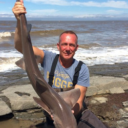 Rob Wheaton with a shore caught Common smoothound - 15lb.12oz (17/07/2016)