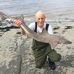 Mike hodge with a shore caught Smoothound - 12lb.1oz (22/07/2016)