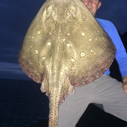 Rob Wheaton with a shore caught Blonde Ray - 20lb.5oz (27/07/2016)