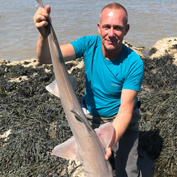 Rob Wheaton with a Smoothhound, Starry of 12lb 7oz