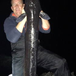 Rob Wheaton with a shore caught Conger eel - 41lb.2oz (01/11/2016)