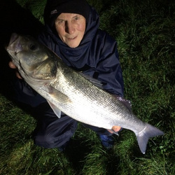 Mike hodge with a shore caught Bass - 5lb.8oz (08/12/2016)