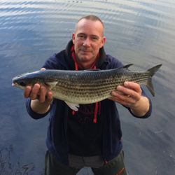 Rob Wheaton with a shore caught Thick lipped mullet - 5lb.15oz (17/12/2016)