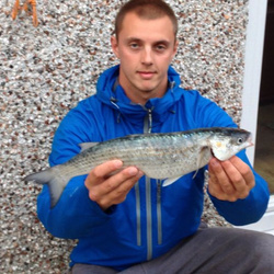 Carl McCormack with a shore caught Golden grey mullet - 1lb 15oz 12dr (26/10/13)