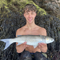 Josh Johnson with a Mullet, Golden Grey of 2lb 1oz